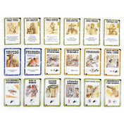 A Bang! Dodge City kiegészítő színes kártyái fektetve: karakterkártyák, akciók, tárgyak és felszerelések, jól olvasható nevekkel és grafikákkal, például Távcső, Springfield, Tequila Joe.