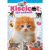 Kiscicát szeretnék könyv - borító: A "Kiscicát szeretnék" könyv borítója, középpontban egy aranyos vörös-fehér kiscicával.
