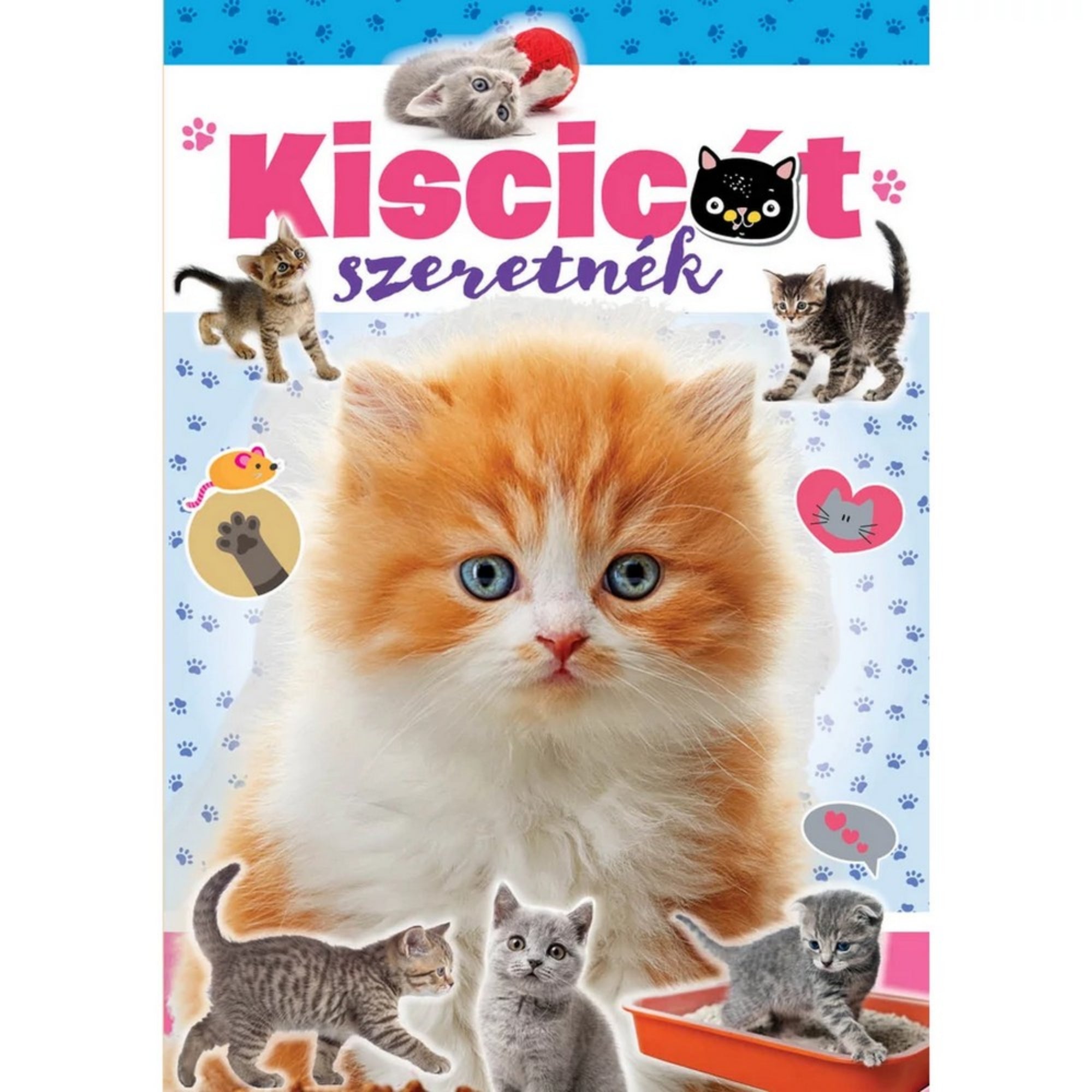 Kiscicát szeretnék könyv - borító: A "Kiscicát szeretnék" könyv borítója, középpontban egy aranyos vörös-fehér kiscicával.