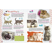 Kiscicát szeretnék könyv - kiscicák jellemzői és képek: A kiscicák testfelépítését, bundájukat és bajszukat bemutató részletes oldal.