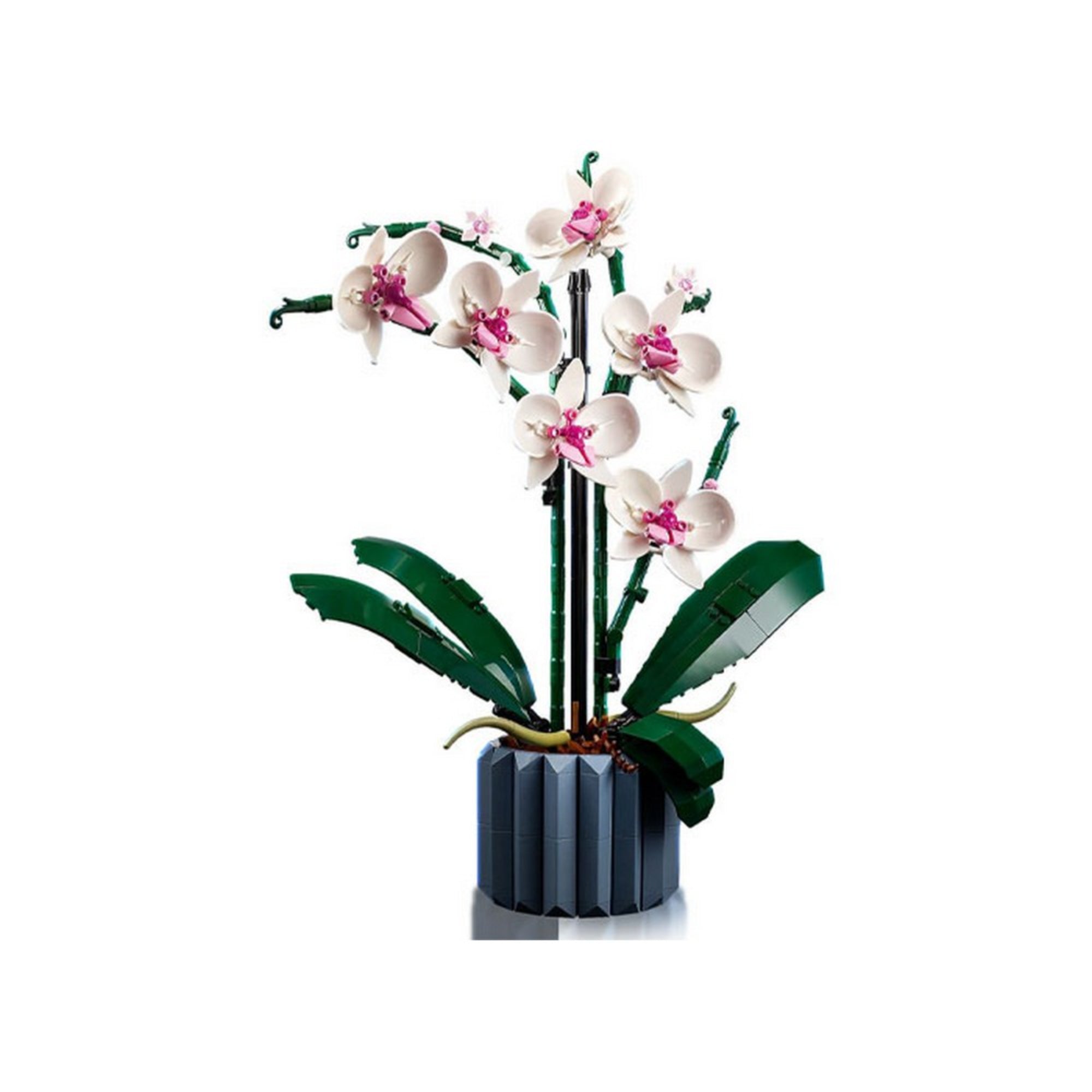 A LEGO Orchid (10311) készlet kész modellje elölről nézve, szimmetrikusan elrendezett fehér-rózsaszín virágokkal és zöld levelekkel a szürke kaspóban.