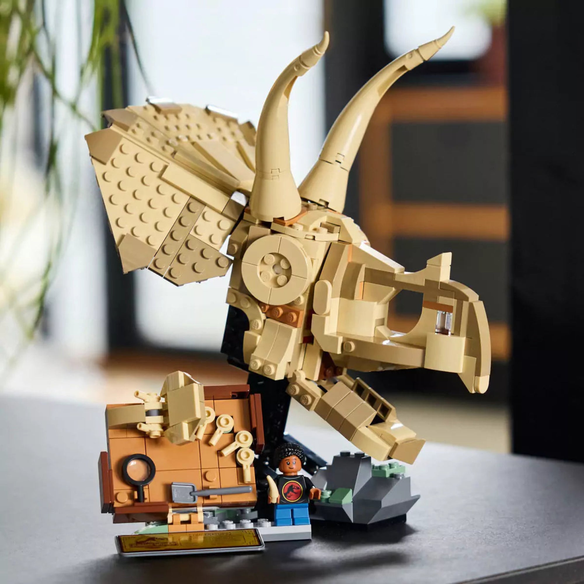 LEGO Jurassic World Triceratops-koponya modell (76969) valós környezetben bemutatva, egy asztalon elhelyezve a kiegészítőkkel és minifigurával.