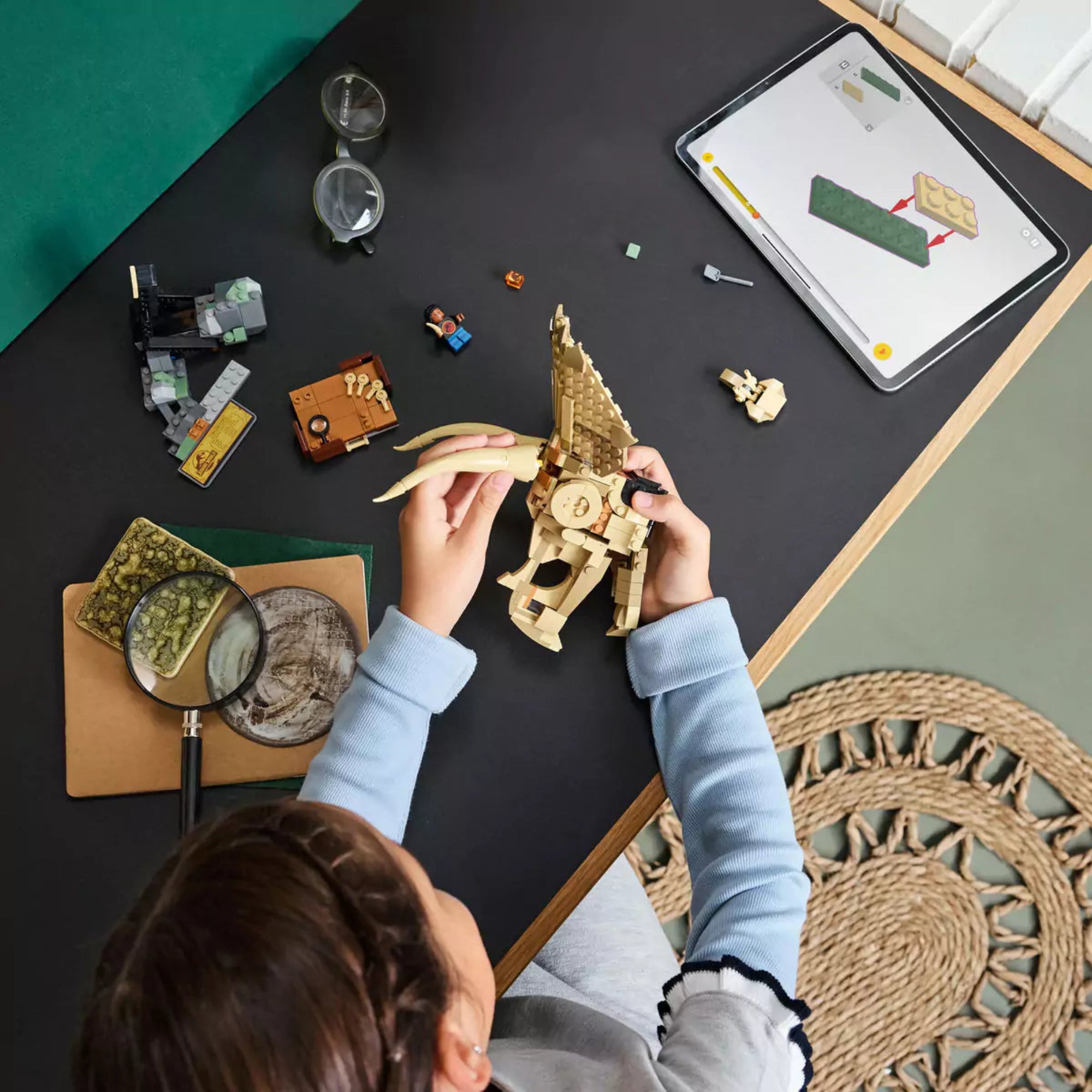 Gyermek építi a LEGO Jurassic World Triceratops-koponyát (76969), a mellékelt LEGO Builder alkalmazást használva intuitív útmutatóként.