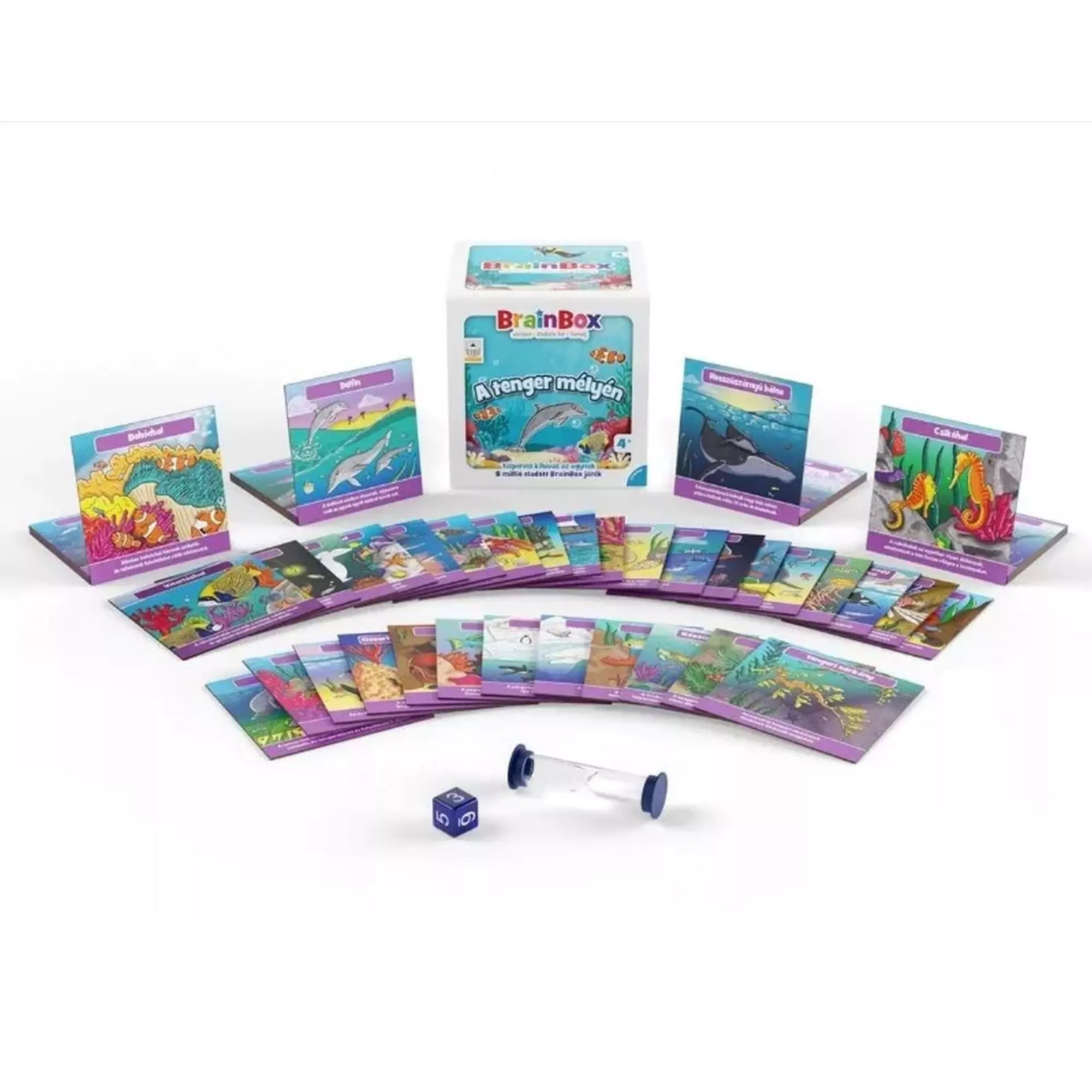 BrainBox A tenger mélyén társasjáték: kártyák, homokóra és dobókocka a dobozzal együtt bemutatva.