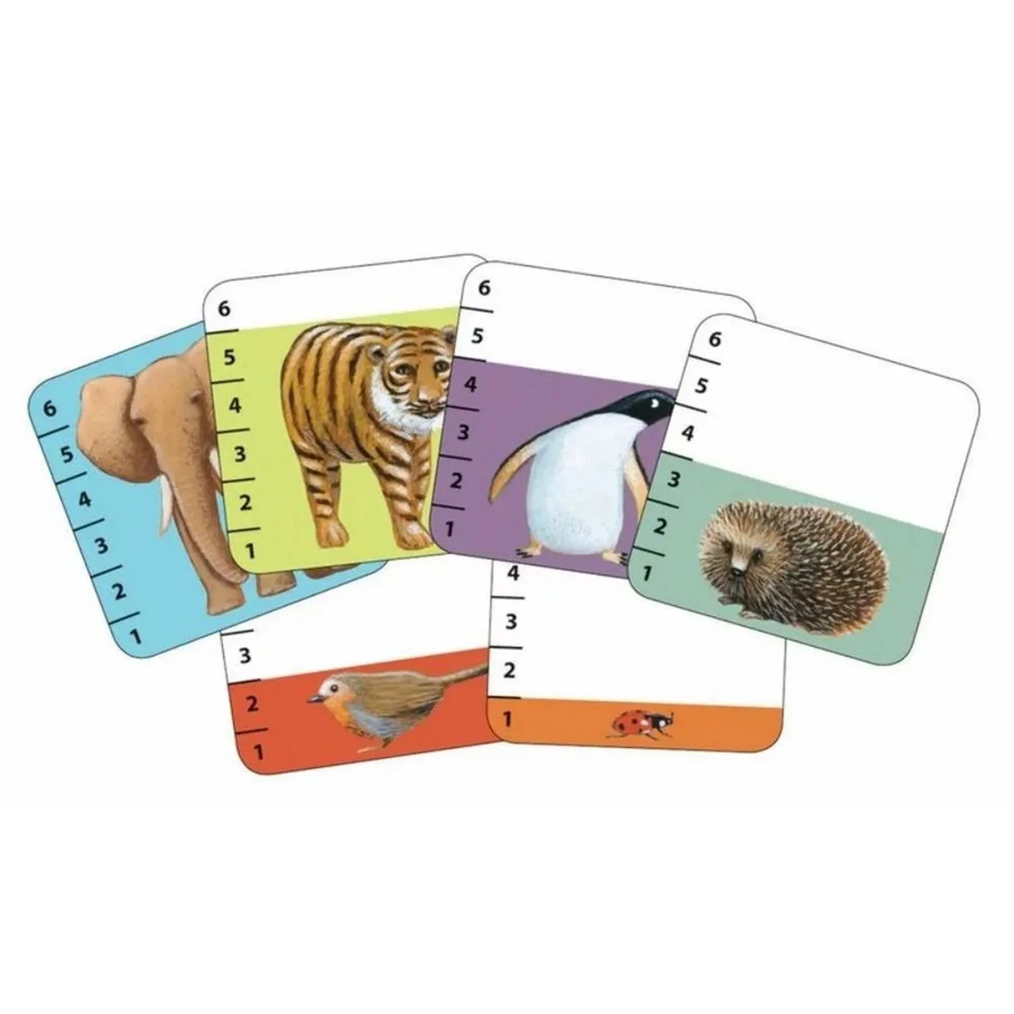 A Djeco Batanimo kártyajáték színes kártyái különböző állatokkal – elefánt, tigris, pingvin, sün, madár és katica – számozott értékekkel, egymás mellett elrendezve.