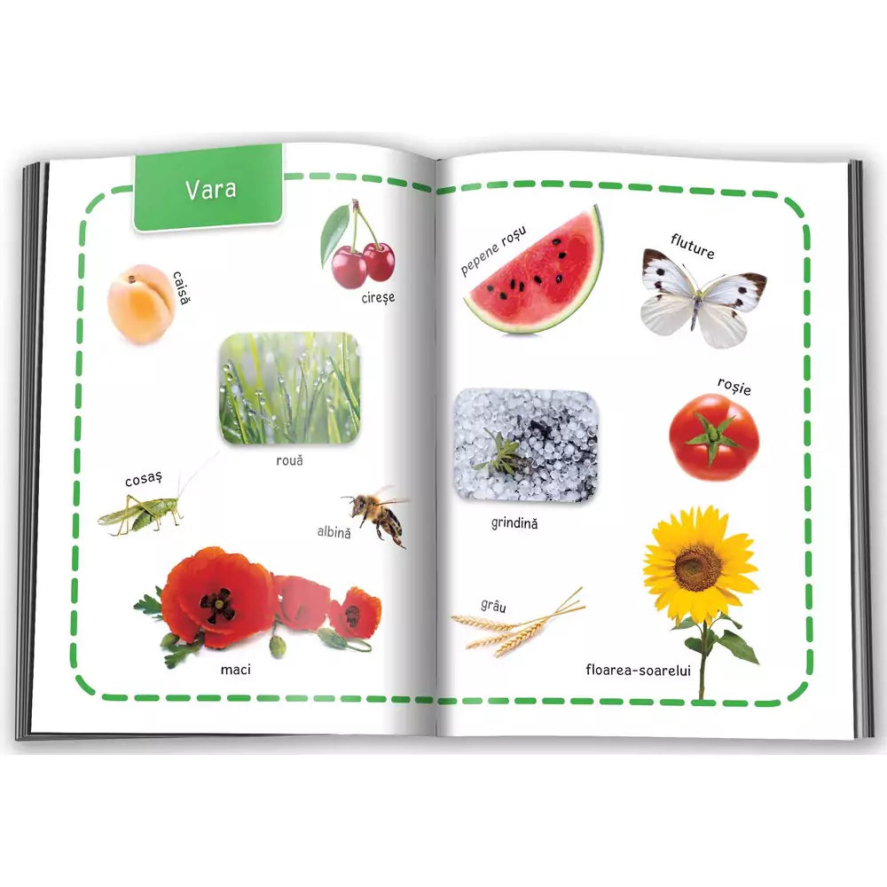 Natura, Învâț 100 de cuvinte - Carte Cartonată