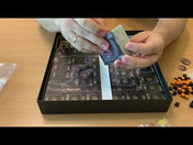 Brass: Birmingham joc de societate în limba engleză