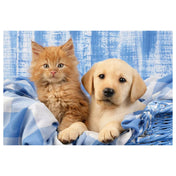 „Puzzle Schmidt, Aranyos állatkáim – vörös cica és világos színű kölyökkutya kék-fehér takarón, barátságos kompozícióban.”