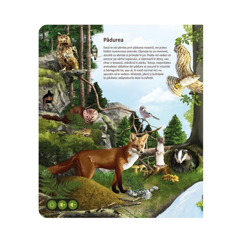 Răspundel Istețel - Set Lumea Animalelor (creion+carte) carte în limba română