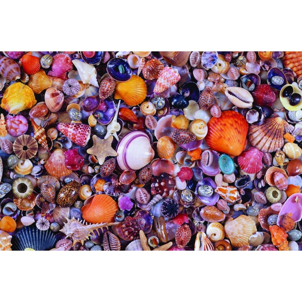 Puzzle 1000 de piese - Scoici