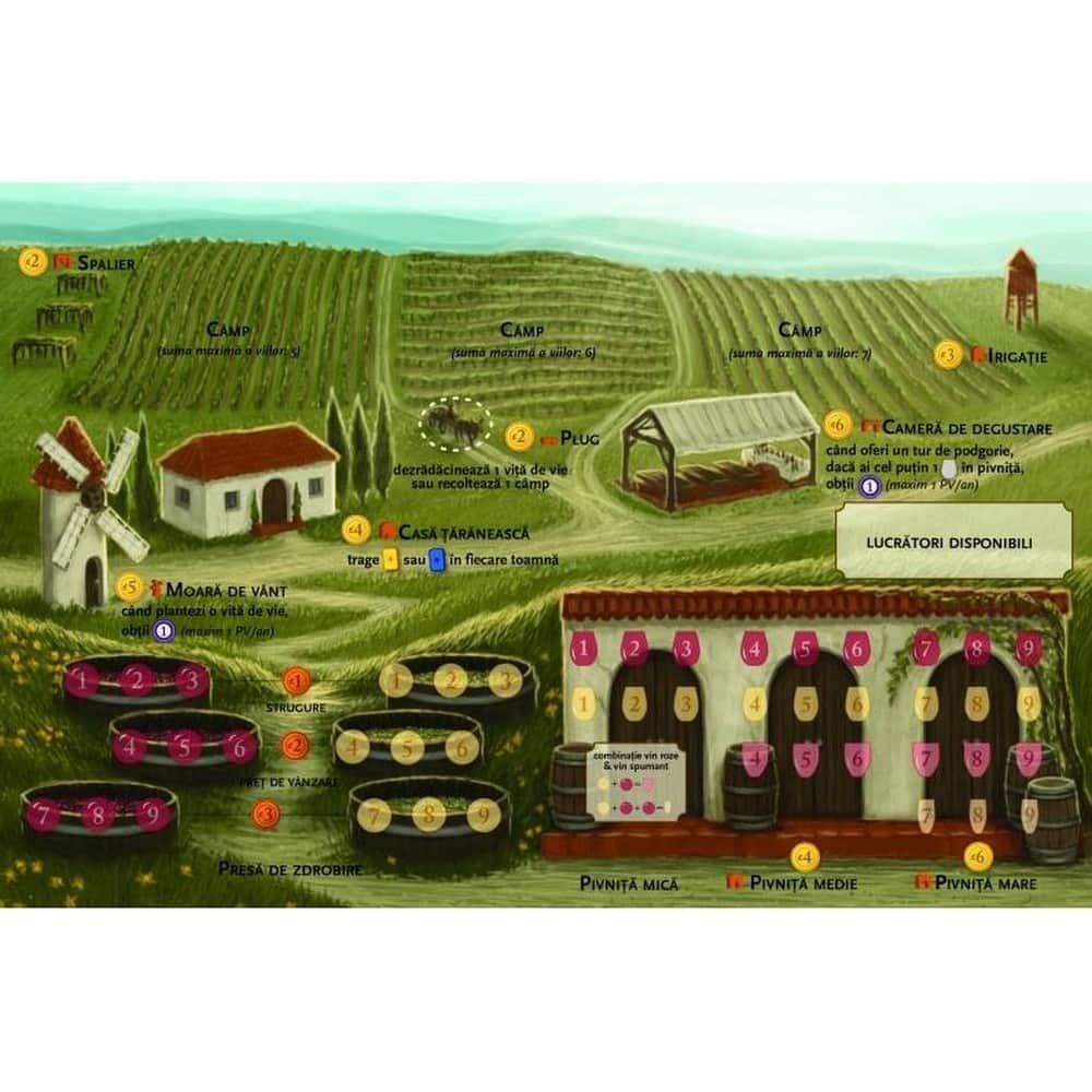 Viticultura (Viticulture Essential Edition Romanian Edition)