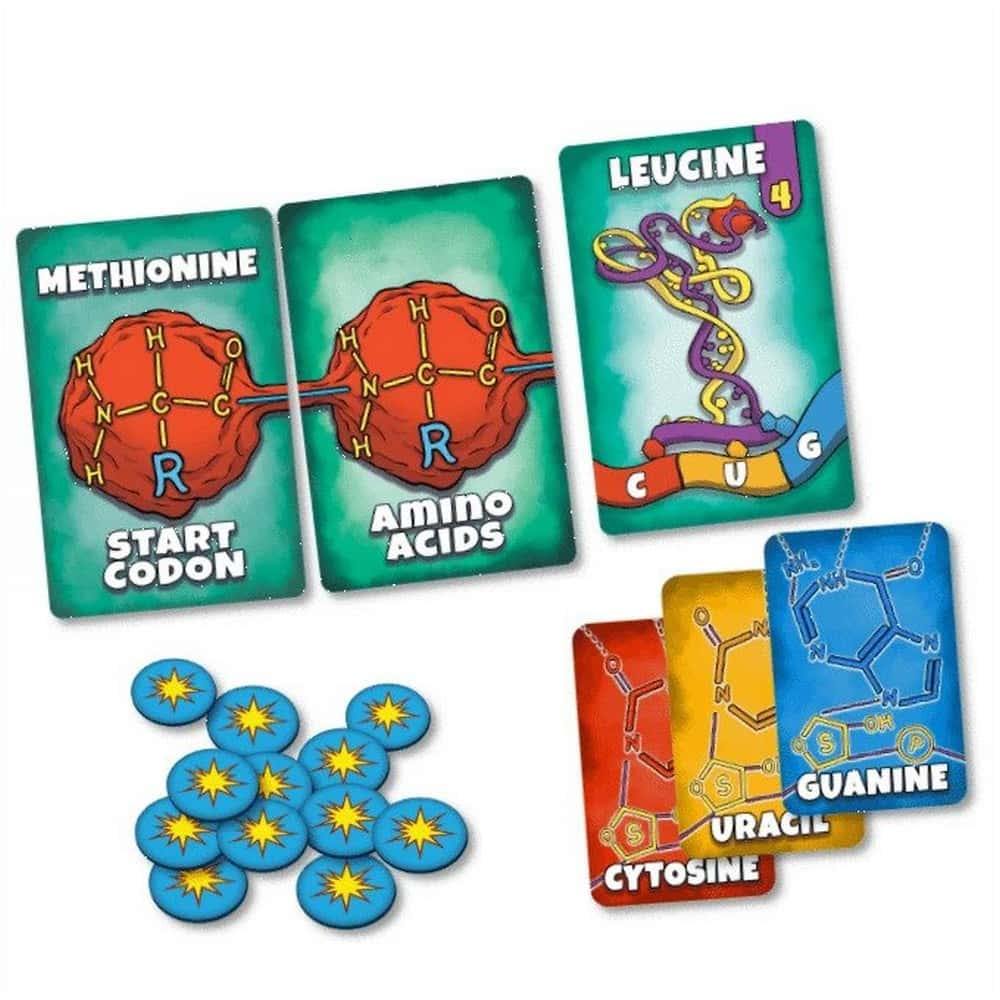 Peptide: A Protein Building Game - Jocozaur.ro - Omul potrivit la jocul potrivit