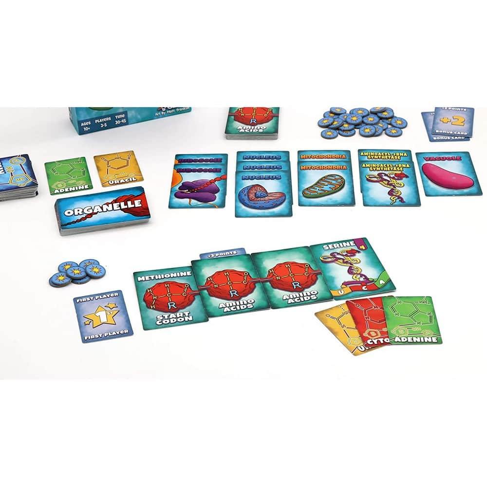 Peptide: A Protein Building Game - Jocozaur.ro - Omul potrivit la jocul potrivit