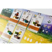 Wingspan EN 2nd edition - Játszma.ro - A maradandó élmények boltja