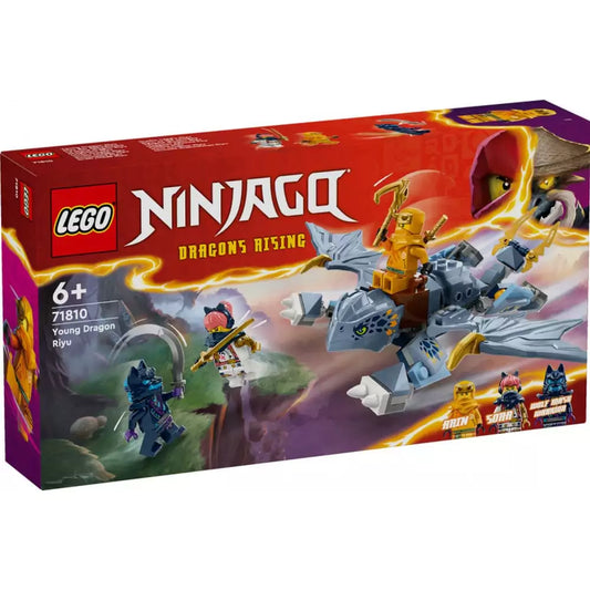 LEGO Ninjago Tânărul dragon Riyu 71810