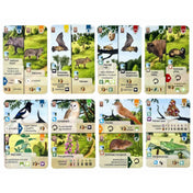 Az „Az erdő: Cserjék” társasjáték különböző állatokat és növényeket bemutató játékkártyái, részletes illusztrációkkal és játékszabály ikonokkal.