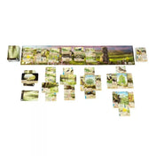 „Az Erdő: Dartmoor társasjáték felállított játékmenete sokféle élőhely- és állatkártyával.”