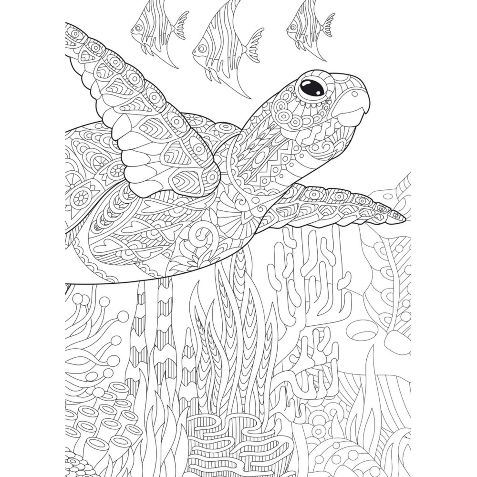 Az óceán csodái – Bűvös színező teknősös oldal: Részletgazdag kifestőoldal tengeri teknőssel és halakkal, gazdag mintákkal és korallzátonnyal az óceán mélyén.