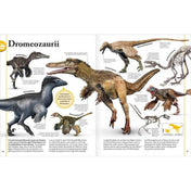Ez a kép egy enciklopédia kétoldalas illusztrációját mutatja be a dromeoszauruszokról – ezek a gyors, ragadozó dinoszauruszok a madarak ősei voltak. A középpontban az ikonikus Velociraptor látható tollas testtel, mellette más híres fajok is feltűnnek, mint a Deinonychus, Buitreraptor, Austroraptor vagy a Sinornithosaurus. A részletes ábrák mellé román nyelvű leírások társulnak, amelyek a dinoszauruszok megjelenését, viselkedését és környezetét ismertetik. 