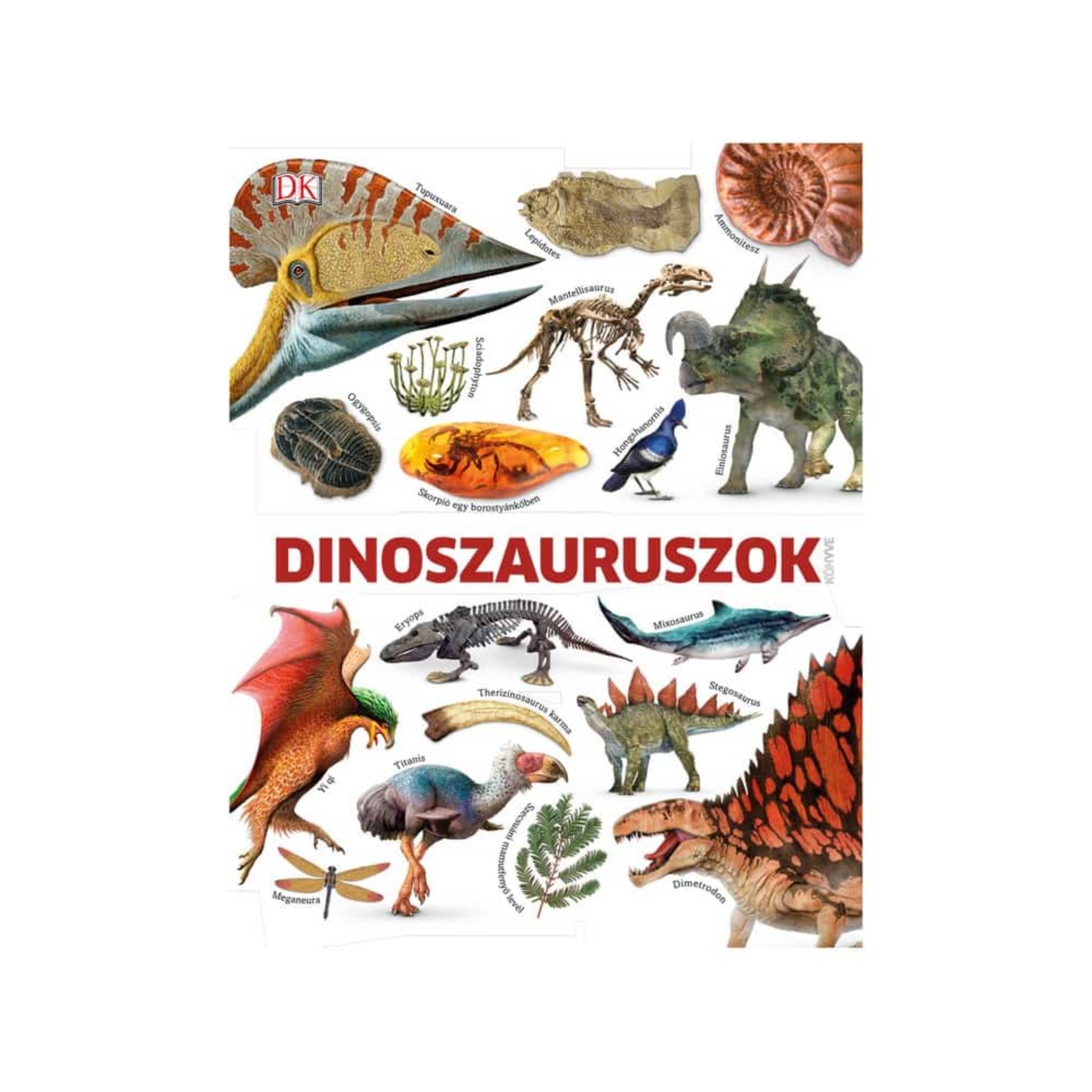 Ez a kép a Dinoszauruszok című ismeretterjesztő könyv borítóját mutatja, amely színes illusztrációkkal tárja elénk a dinoszauruszok lenyűgöző világát. Láthatjuk rajta a híres Triceratopsot, Stegosaurust, sőt még a tengeri Mosasaurust is. Megfigyelhetjük a régészeti leleteket – borostyánba zárt skorpiót, kövületeket és csontvázakat –, valamint néhány olyan állatot is, amelyek a dinoszauruszok leszármazottjai lehetnek.