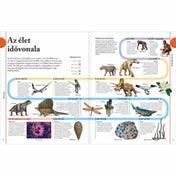 Ez a lenyűgöző kép a Dinoszauruszok című könyvből az élet idővonalát mutatja be, látványos illusztrációkkal és fontos mérföldkövekkel. Az oldalpáron végigkövethetjük az élet fejlődését a 4,6 milliárd évvel ezelőtti kezdetektől egészen napjainkig. Megjelennek korai élőlények, mint a Cianobaktériumok és a Tribolitek, a dinoszauruszok kora, majd a mamutok, ősemberek és modern fajok is. A színes vonalak és piktogramok segítenek megérteni az egyes földtörténeti korszakokat és azok lakóit. 