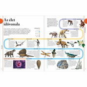 Ez a lenyűgöző kép a Dinoszauruszok című könyvből az élet idővonalát mutatja be, látványos illusztrációkkal és fontos mérföldkövekkel. Az oldalpáron végigkövethetjük az élet fejlődését a 4,6 milliárd évvel ezelőtti kezdetektől egészen napjainkig. Megjelennek korai élőlények, mint a Cianobaktériumok és a Tribolitek, a dinoszauruszok kora, majd a mamutok, ősemberek és modern fajok is. A színes vonalak és piktogramok segítenek megérteni az egyes földtörténeti korszakokat és azok lakóit. 