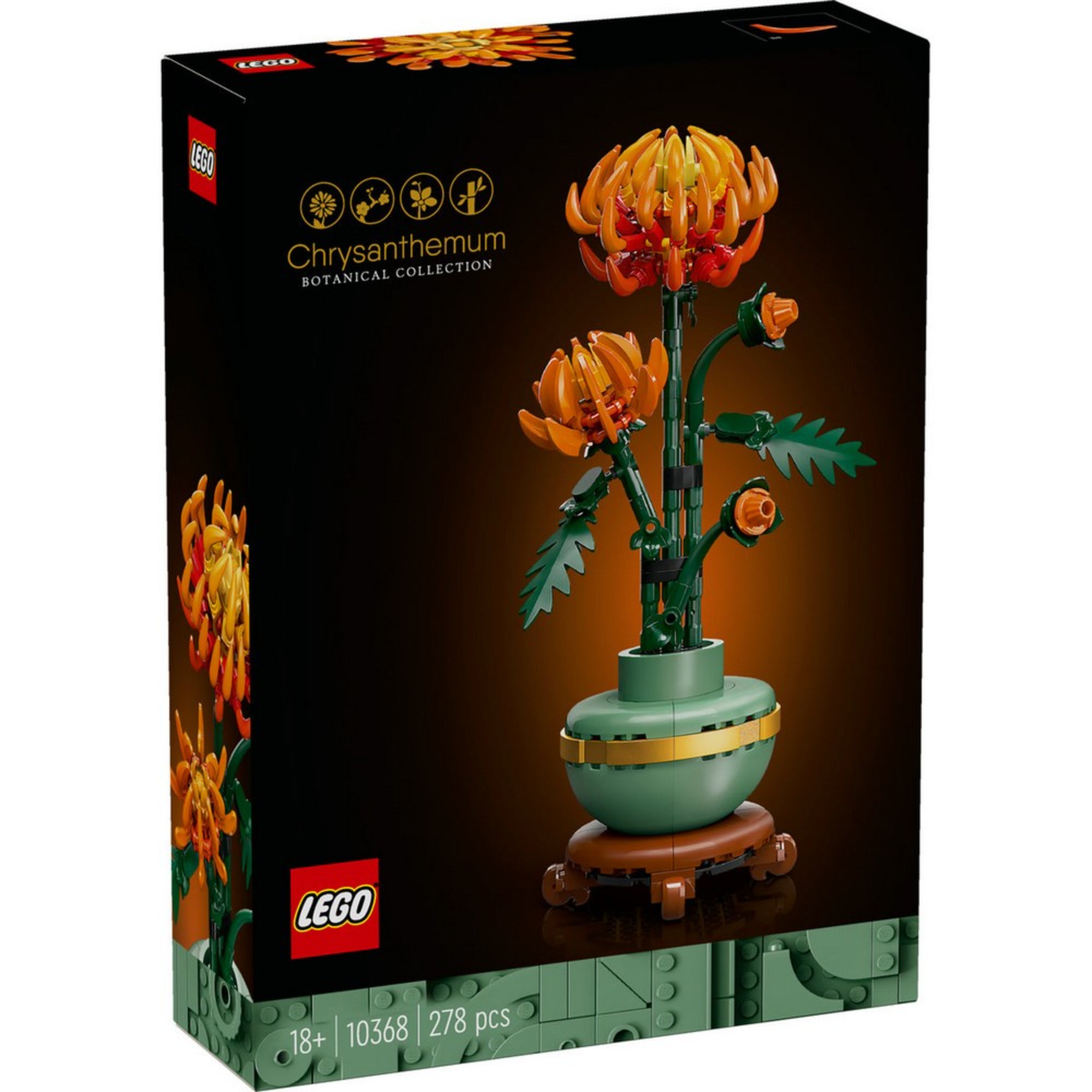 A LEGO Botanicals 10368 Chrysanthemum készlet dobozának előlapja sötét háttéren, középen a teljes virágkompozícióval.