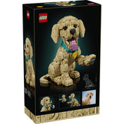 LEGO Icons Golden Retriever Puppy (11384) hátoldali dobozkép, mozgatható fejjel és tappanccsal, valamint méretarányos illusztrációval.