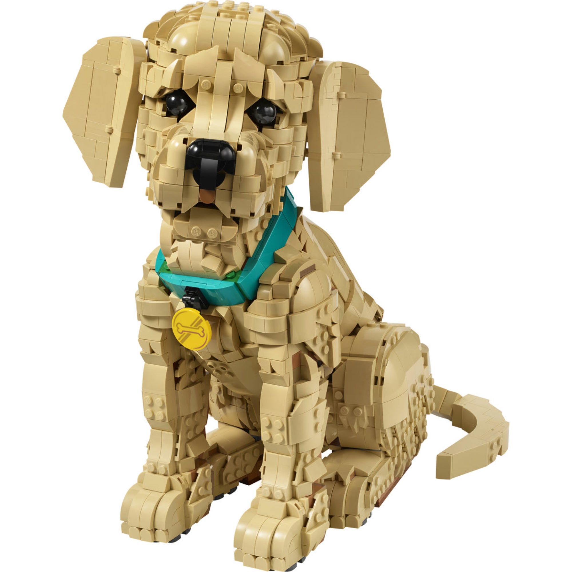 LEGO Icons Golden Retriever Puppy (11384) megépített aranyszínű kiskutya modell türkiz nyakörvvel és arany bilétával, ülő pózban.