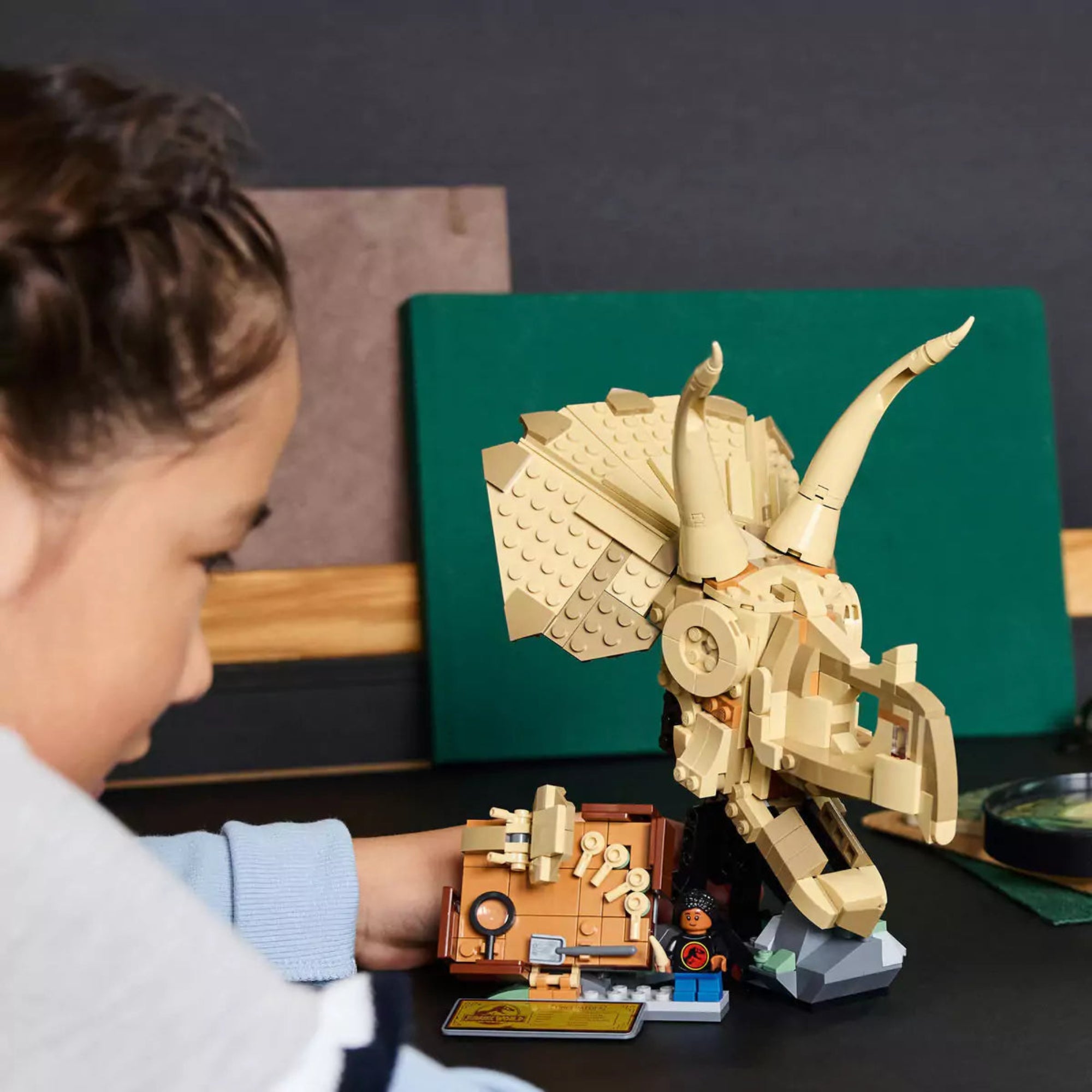 LEGO Jurassic World Dinómaradványok: Triceratops-koponya (76969) egy gyerek kezében, amely bemutatja a játék méretét és interaktivitását.