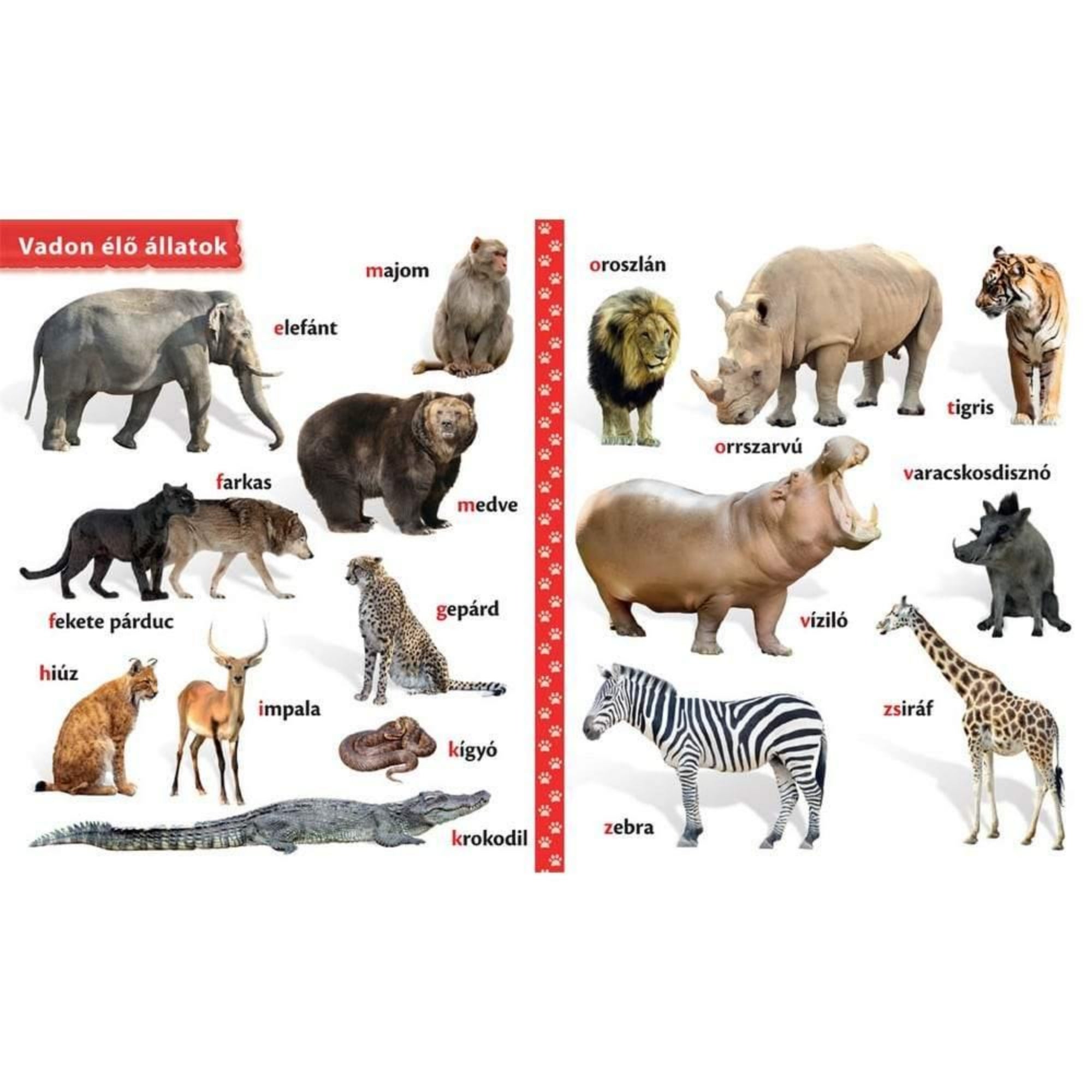 Állatok gyerekkönyv belső oldala, amely vadon élő állatokat mutat be, többek között elefánt, oroszlán, tigris, medve, farkas, fekete párduc, gepárd, krokodil, zebra, zsiráf, víziló és orrszarvú illusztrációjával.