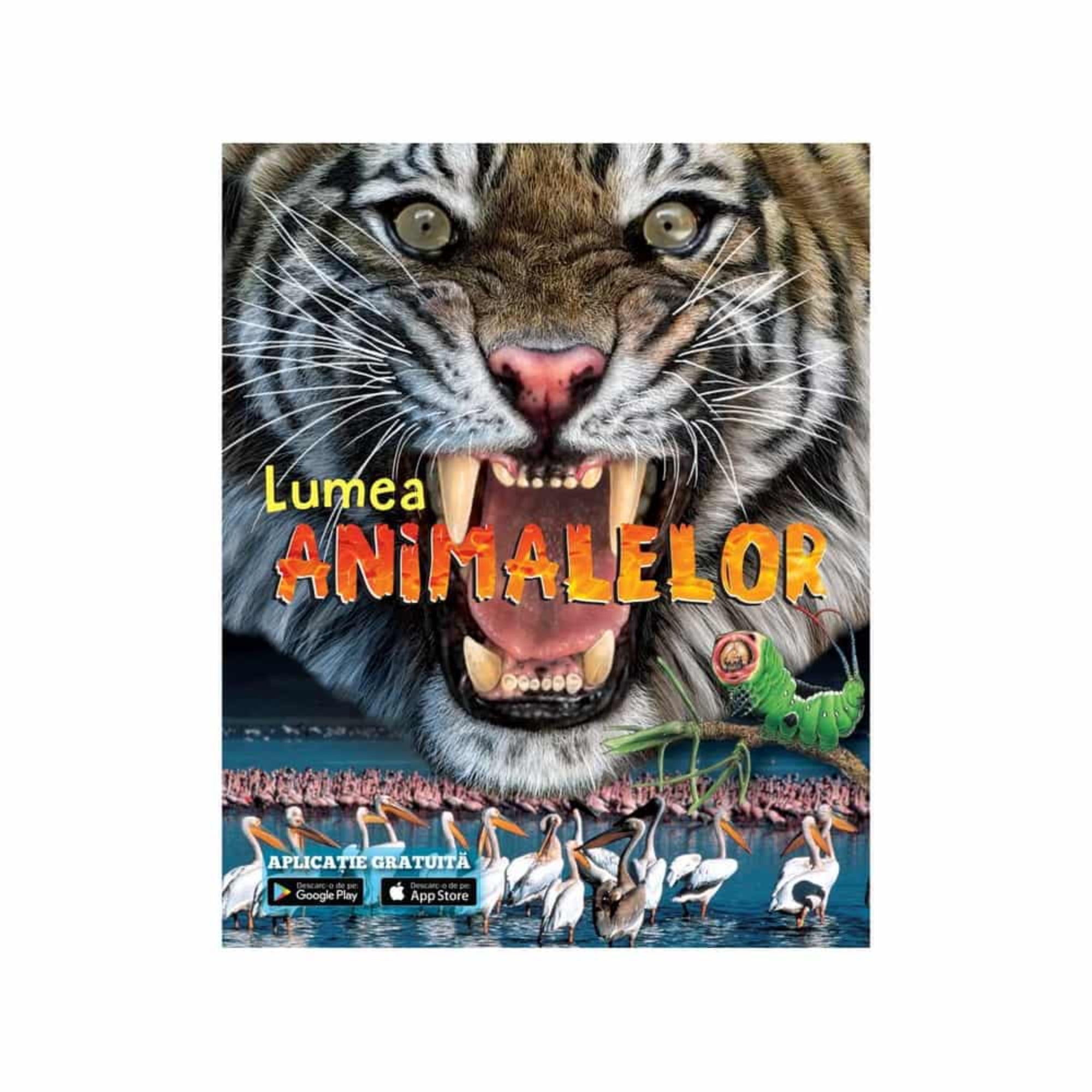 A képen a „Lumea Animalelor” (Az állatok világa) című román nyelvű ismeretterjesztő könyv borítója látható. A borítón egy hatalmas tigris félelmetes, nyitott szájjal néz szembe az olvasóval, kiemelve a vadállatok erejét és lenyűgöző megjelenését. Az alsó részen flamingók és pelikánok állnak egy vízparton, a sarokban pedig különféle rovarok, például egy imádkozó sáska és egy zöld hernyó látható. A borító alján ikonok jelzik, hogy a könyvhöz ingyenes mobilalkalmazás is tartozik.