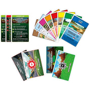 Monopoly Pokémon társasjáték kártyái, köztük kalandkártyák, kihíváslapok és színes helyszínek.