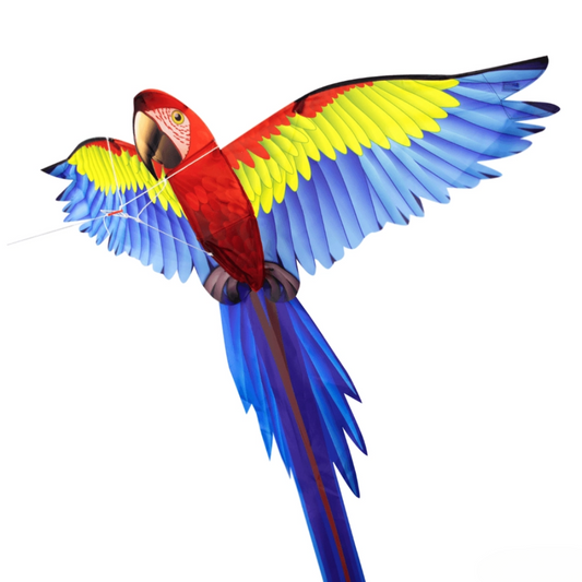 Zmeu pop-up ușor de asamblat - Papagal 3D