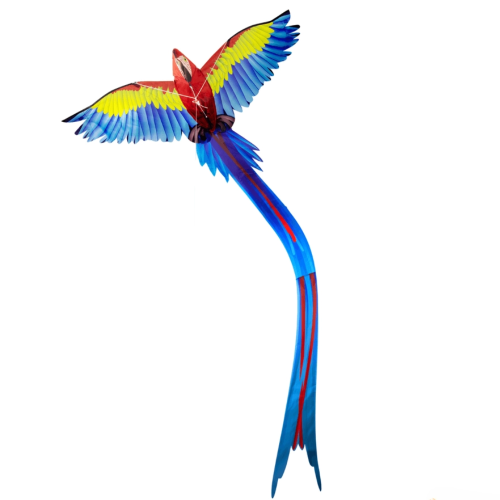Zmeu pop-up ușor de asamblat - Papagal 3D asamblat