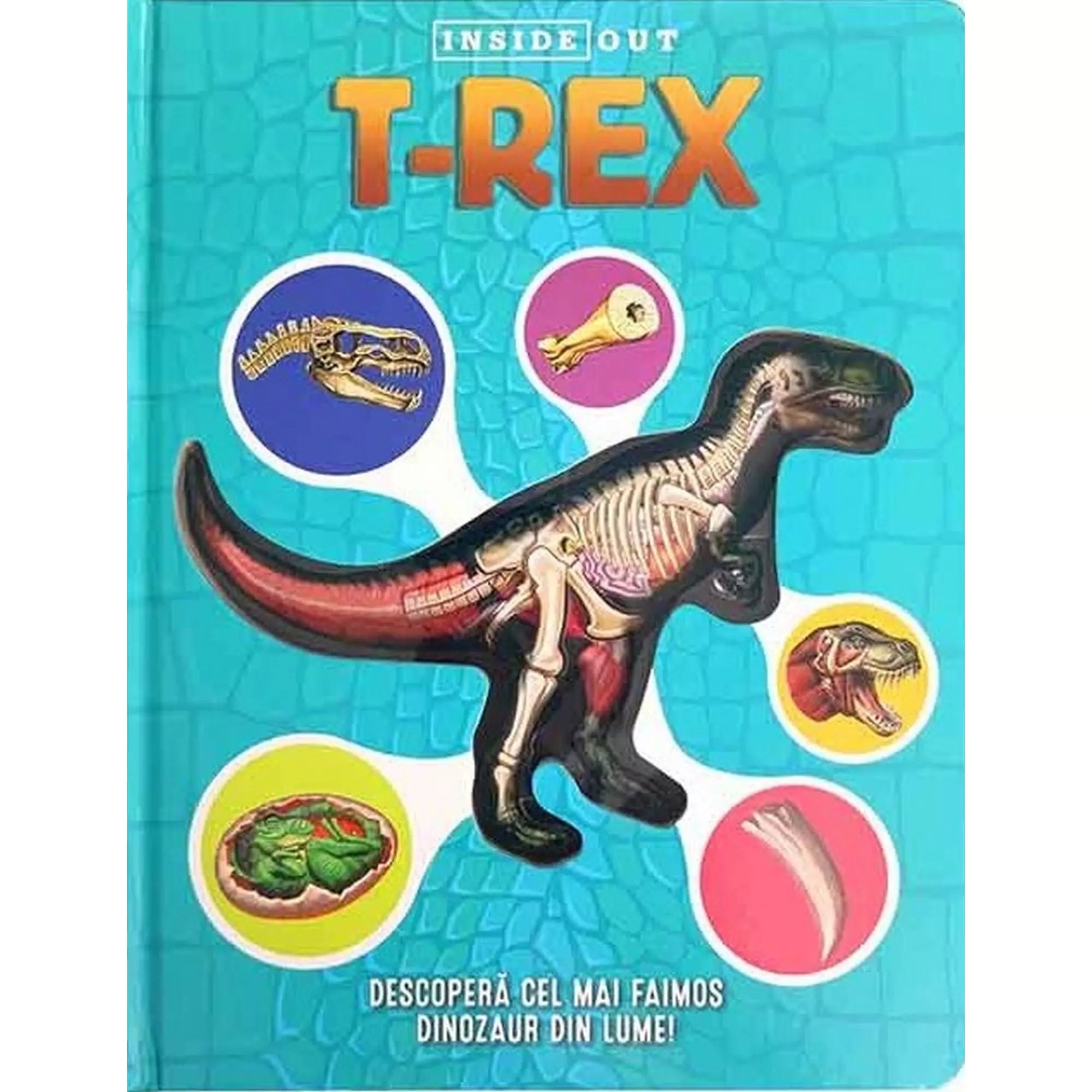 T-Rex ismeretterjesztő könyv borítója, amely a híres dinoszaurusz anatómiáját