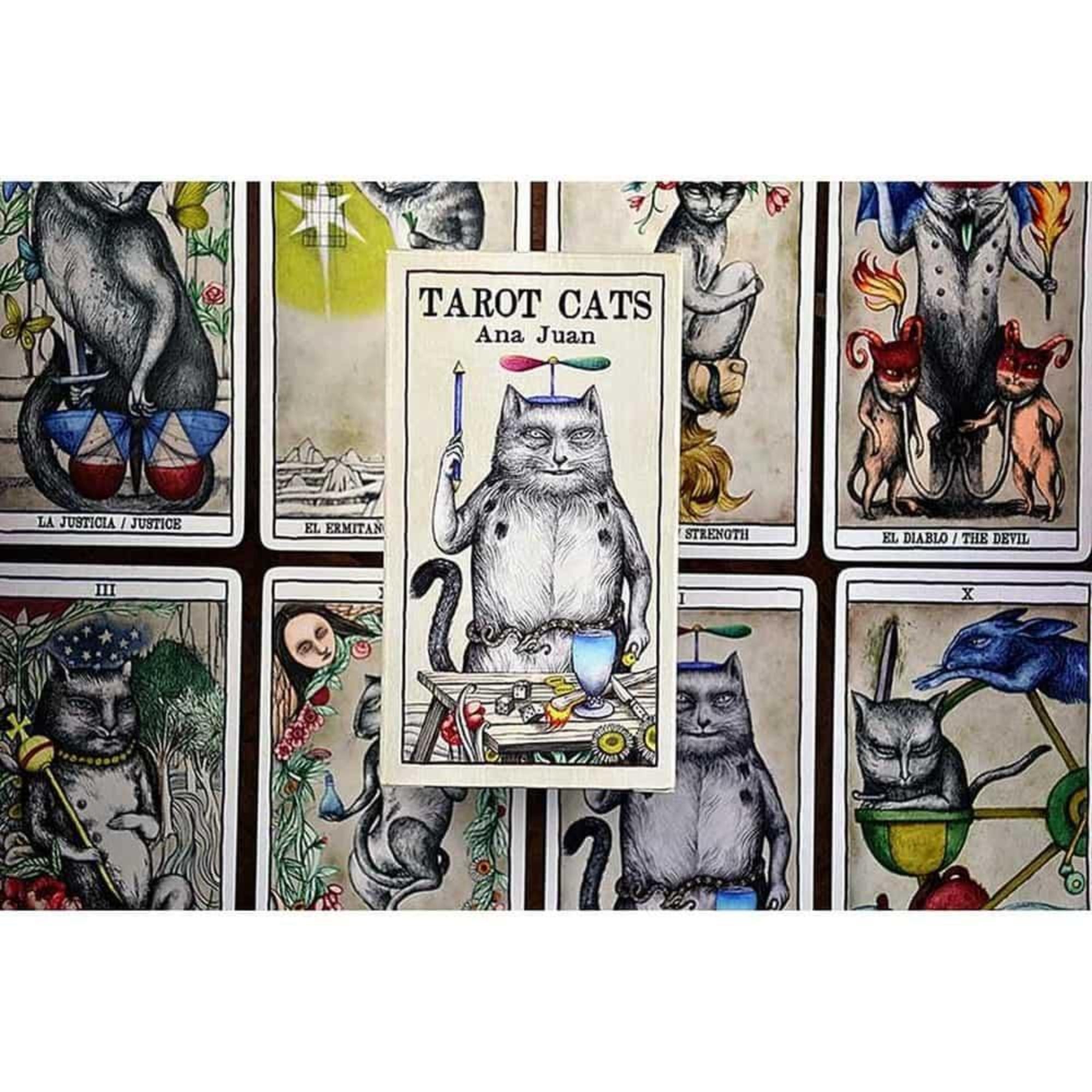 A képen a Tarot Cats kártyacsomag kártyái láthatók Ana Juan illusztrációival. A részletgazdag lapokon különböző szimbolikus jeleneteket macskák alakítanak, humoros, mégis misztikus hangulatot teremtve. A középen elhelyezett doboz a pakli borítóját mutatja, amely egy varázspálcát tartó macskát ábrázol.