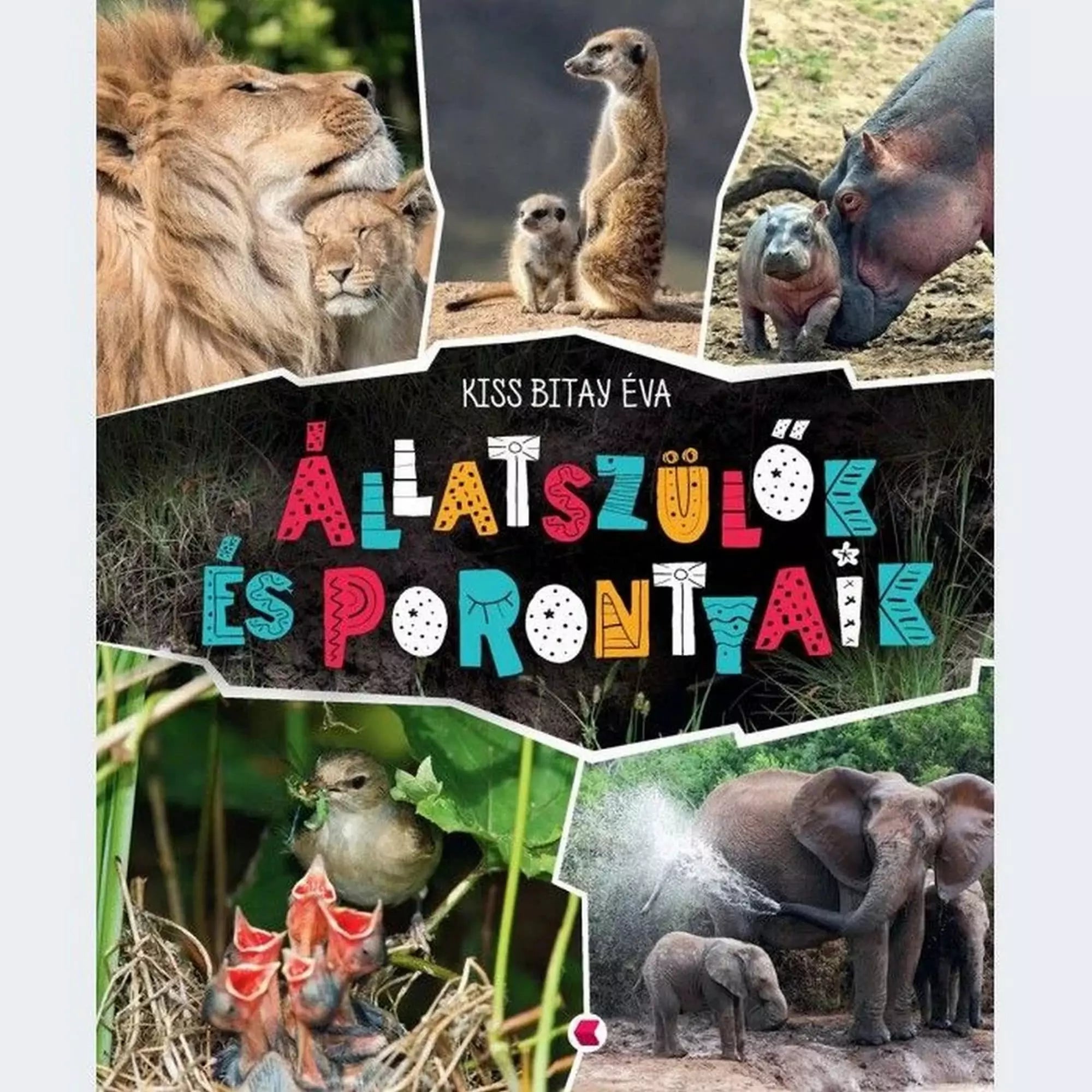 Az Állatszülők és porontyaik című könyv borítója különböző állatok és utódaik megható pillanatait mutatja be. A képeken oroszlánok, szurikáták, vízilovak, madarak és elefántok láthatók kölykeikkel, miközben gondoskodnak róluk. Ez a könyv betekintést nyújt az állatvilág szeretetteljes és védelmező oldalába.