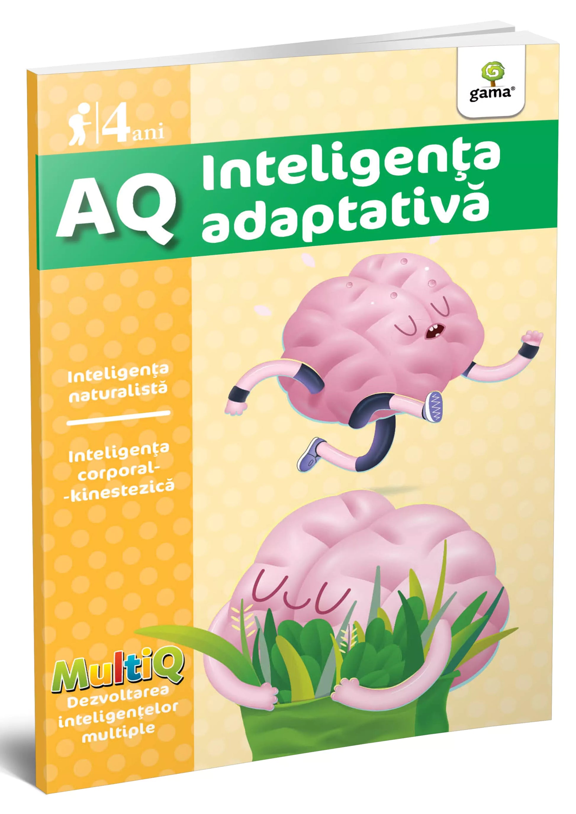 AQ 4 ani- carte cu exerciții pentru dezvoltarea inteligenței adaptative coperta