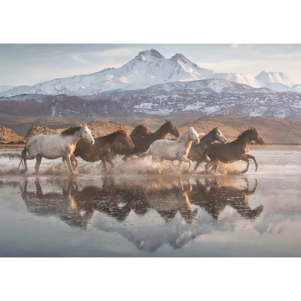 1000 darabos puzzle - Horses in Cappadocia, Schmidt