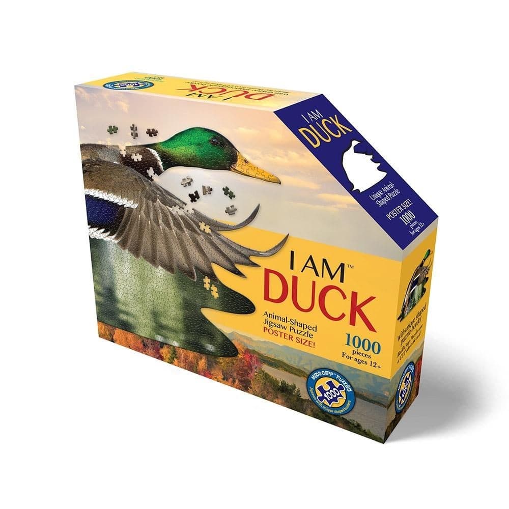 duck-min.jpg