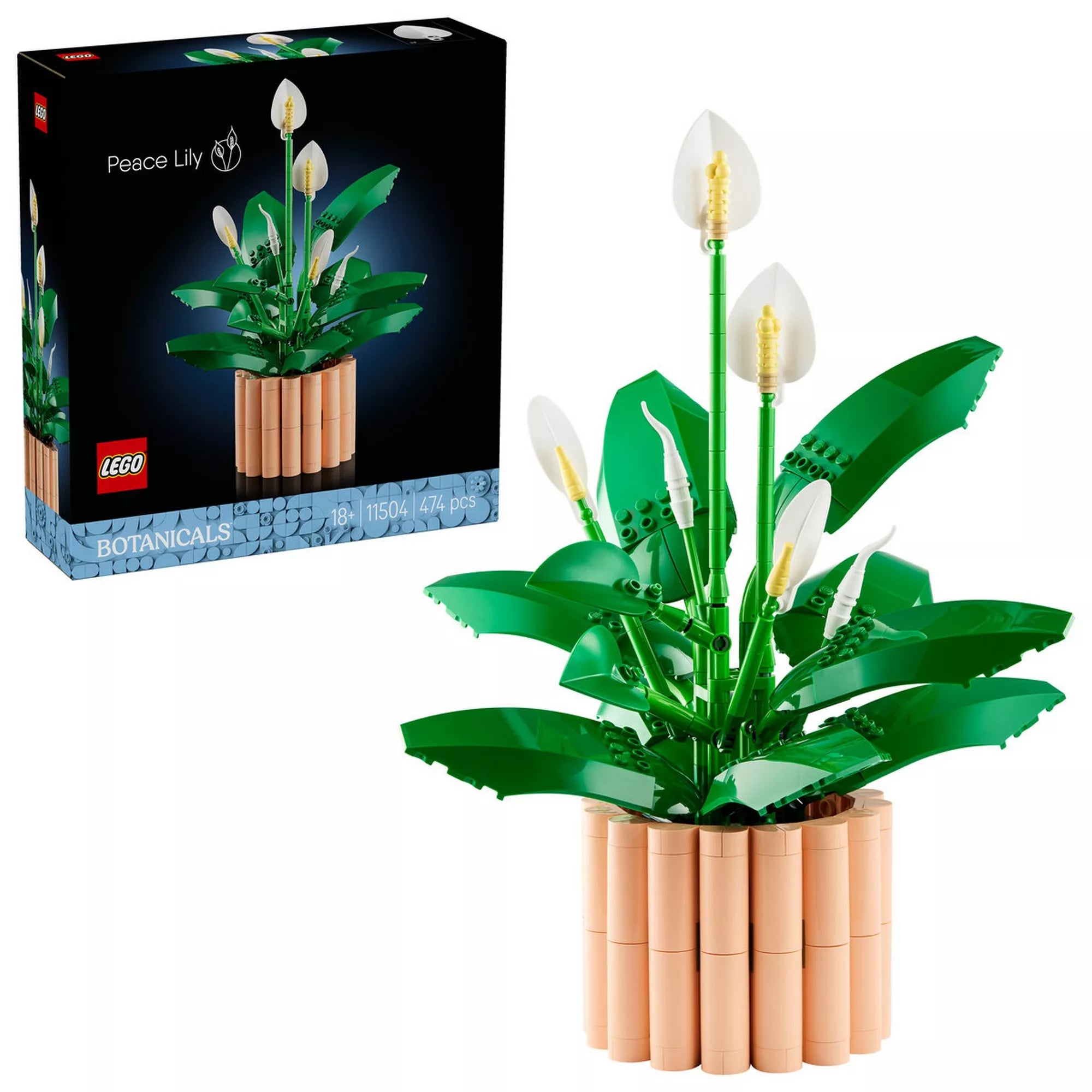 LEGO Botanicals Peace Lily (11504) készlet megépített modellje és az eredeti doboz egymás mellett, fehér háttéren, jól látható dekorációs növény és csomagolás.