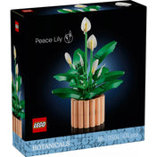 LEGO Botanicals Peace Lily (11504) készlet elölnézeti dobozképe, fekete háttéren megjelenített LEGO békeliliom modell fehér virágokkal és zöld levelekkel, dekoratív kaspóban.