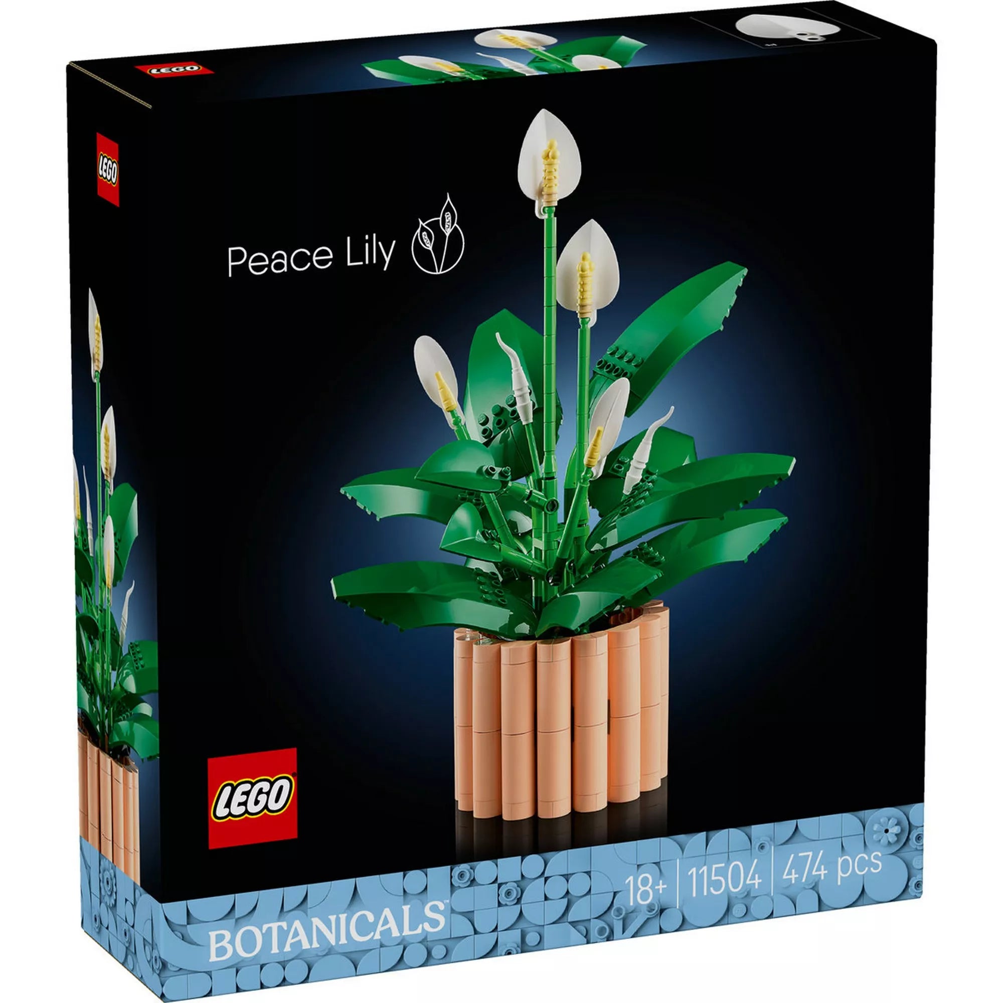 LEGO Botanicals Peace Lily (11504) készlet elölnézeti dobozképe, fekete háttéren megjelenített LEGO békeliliom modell fehér virágokkal és zöld levelekkel, dekoratív kaspóban.