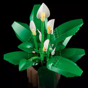 LEGO Botanicals Peace Lily (11504) békeliliom felülnézeti képe fekete háttéren, részletesen kidolgozott zöld levelekkel és fehér LEGO virágokkal.