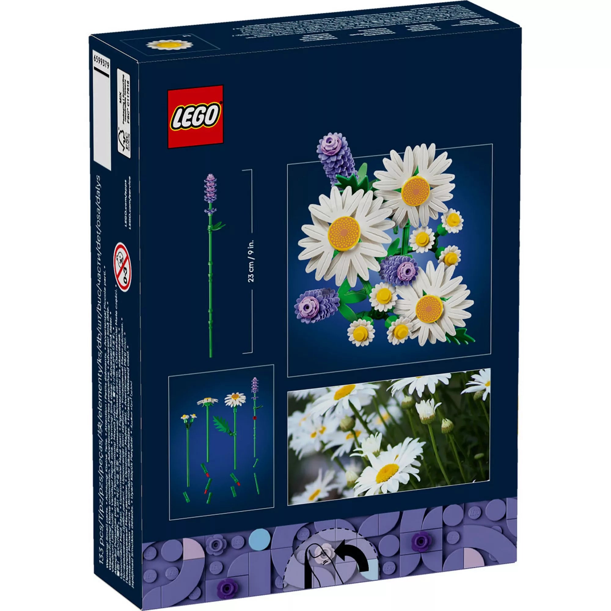 LEGO Botanicals Daisies (11508) doboz hátoldala, a megépített virágcsokor bemutatásával, méretjelöléssel és valódi virág inspirációs képpel.