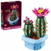 LEGO Botanicals Flowering Cactus (11509) megépített kaktusz dekoráció és az eredeti LEGO doboz egymás mellett, fehér háttéren.