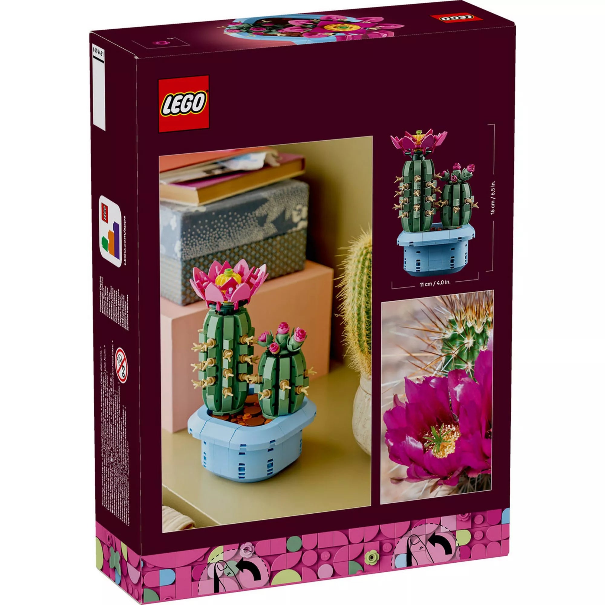 LEGO Botanicals Flowering Cactus (11509) doboz hátoldala, a megépített kaktusz dekoráció bemutatásával, méretadatokkal és valódi növény inspirációs fotóval.