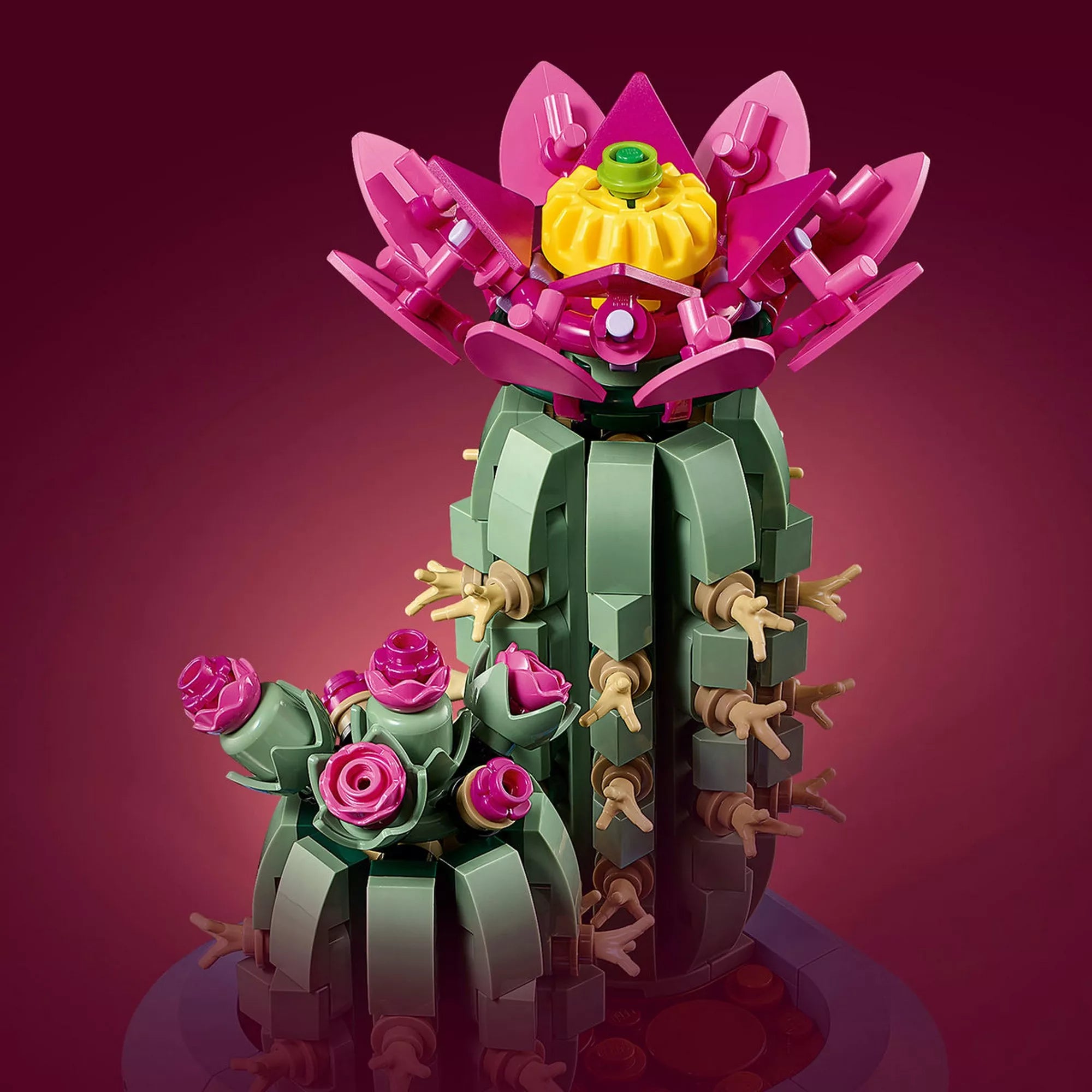 LEGO Botanicals Flowering Cactus (11509) kaktusz közeli részlete, rózsaszín virágokkal, zöld kaktusztesttel és tüskés elemekkel.