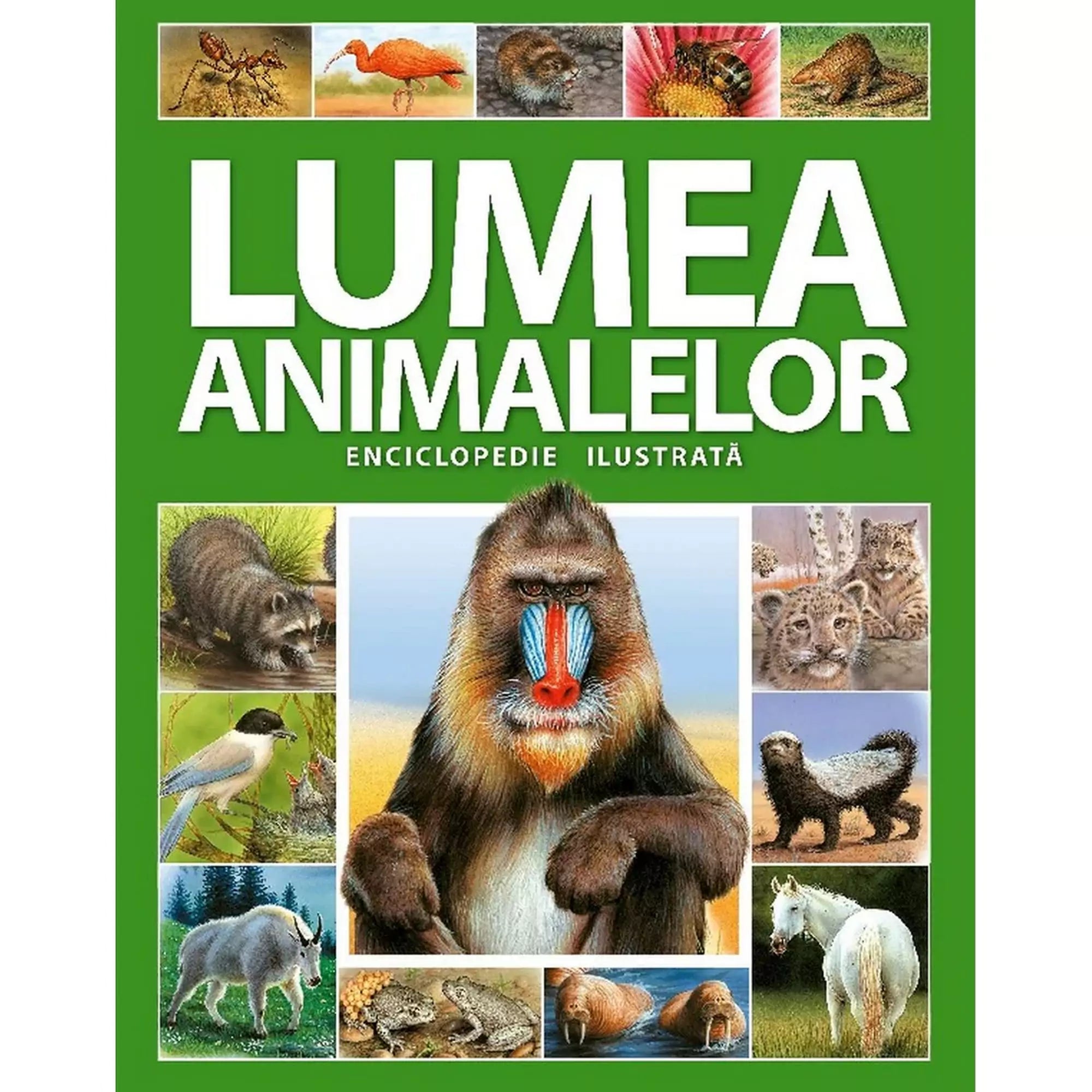  A könyv borítója egy színes illusztrált enciklopédiát mutat be, amely különböző állatokkal, köztük mandrillal, mosómedvével, oroszlánkölykökkel és különféle madarakkal ismerteti meg az olvasót.